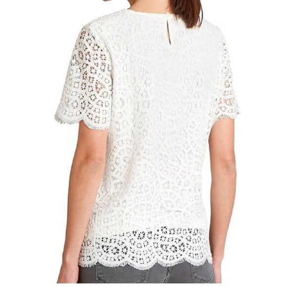 NWT Philosophy Short Sleeve Scoop Neck Lace Overlay Blouse - Picture 6 of 12